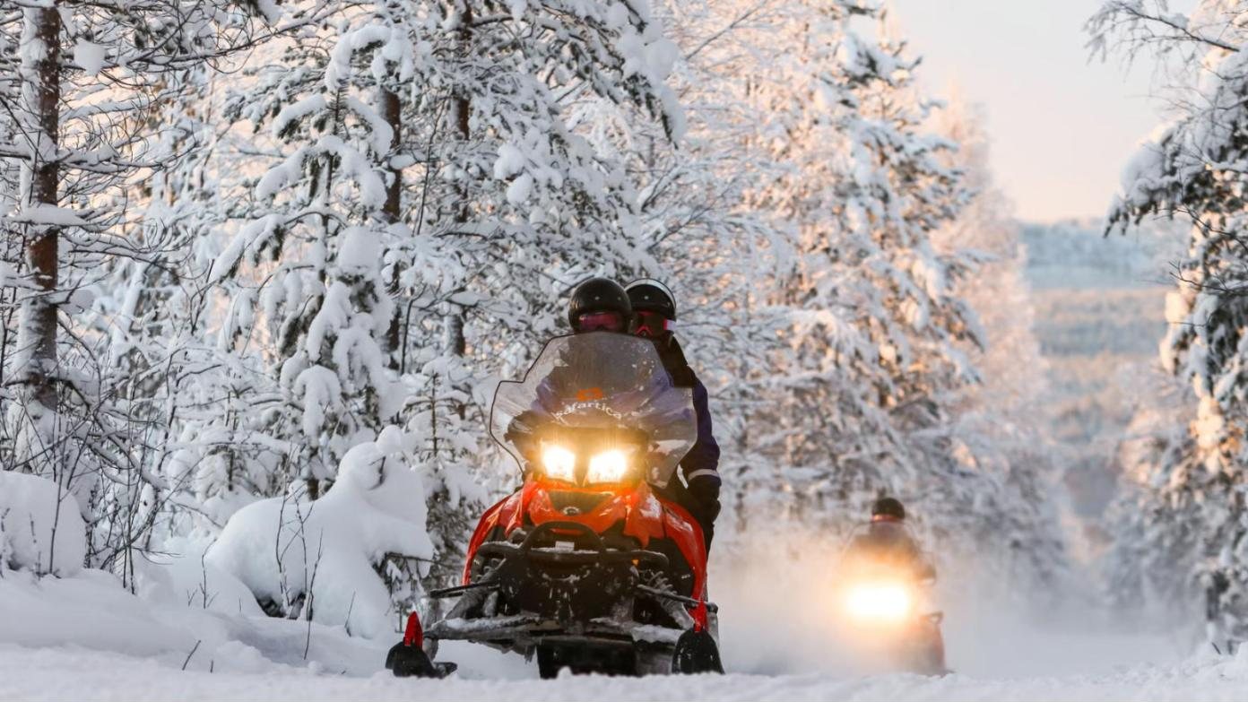 A line of snowmobiles with headlights in a pine forest, the guide waving